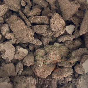 (ส่งฟรี)ขี้หมู จำนวน 3 กระสอบ(7-10 ​kg./กส.) ขี้หมูก้อนปุ๋ยคอก ส่งฟรี ใช้เวลาจัดส่ง 5-7 วัน วัน