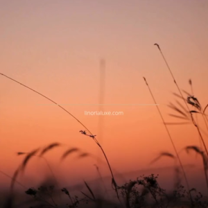 Heart of the Blue Sea | Dominican Larimar Natural Stone Bracelet I 蓝海之心设计款多米尼加海纹石