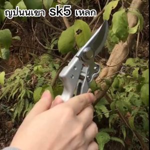 Made in Japanที่ตัดกิ่งไม้ กรรไกรตัดกิ่งไม้ กรรไกรทำสวนทำจากเหล็ก SK5 ตัดกิ่งไม้ได้อย่างง่ายดาย ตัดกิ่งขนาด 22 mm (จัดส่งจากประเทศไทย)