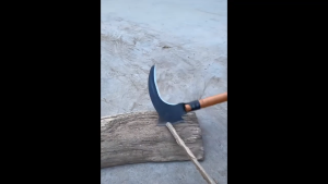 เคียวตัดหญ้า ใบมีดโค้ง เหล็กแข็ง คมกริบ ด้ามไม้ 30 ซม. Grass Sickle Curved Blade Sharp Steel 205 mm. Handle 300 mm.