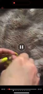 BNC Vitamin Kutek Kuku Cuticle remover / TOP Base Coat / Oil Softener Minyak Pelindung Manicure Pedicure Nail Polish Cream Krim Gel Polish Impor Termurah