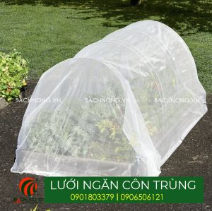 Tấm lưới 2mx5m ngăn sâu ăn lá dùng cho trồng rau hoặc bao xung quanh cây ăn trái ngăn ruồi vàng