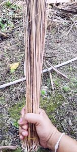 ไม้กวาดกานมะพร้าว