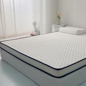 Student Dormitory Hard Latex Cotton Mattress