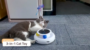 【🔥🔥SG SPOT】Automatic Interactive Cat Toy with Feather-Hide and Seek Electric Durable & Quiet Play