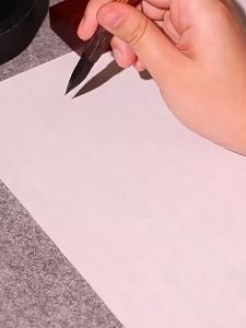 ZHAISHISANLU | Upgraded Thickening Calligraphy and Painting Paper Semi-processed for Chinese Painting Beginner Use