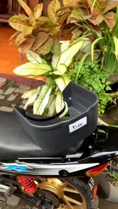 PROMO ! Keranjang tengah sayur yamaha F1ZR FIZR FIZ R force 1 JUPITER MX JUPITER Z vega lama ALFA CRYPTON kranjang sayur fizr ss two