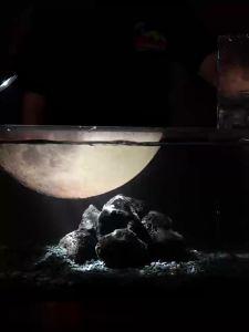 Fish Tank Set Aquarium Water Tank Fish Aquarium Small Fish Tank Aquarium Tank Fish Tank Full Set Rectangular Household Change Water Wear-Resistant 鱼缸