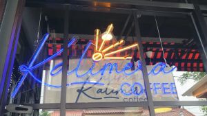 Cangkir Kopi Set 6 Pasang / Tea Cup / Gelas Cappuccino / KPI-01 Turquoise TWO TONE KOPIN 200CC