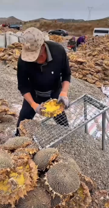 500gr HẠT HƯỚNG DƯƠNG SẤY MỘC