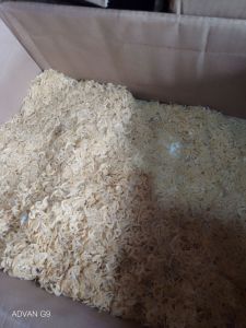 UDANG HALUS/Ebi Khas MEDAN UK 250 Gram