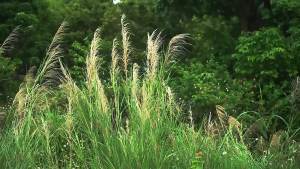 Thous Winds | Bình Nước Giữ Nhiệt & Lạnh 3.8L