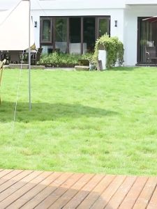 BBQ Grill Baoerma Mall เตาถ่าน ปิ้งย่าง เตาปิ้งย่าง แบบย่างถ่าน มีไม้เสียบหมุนไฟฟ้า สไ