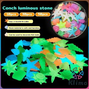 KLIMO Colorful Luminous Stones Starfish Conch Shaped For Aquarium Walkways Garden Decorative 2-3cm
