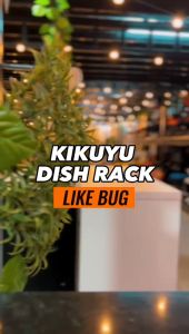 ⚡️LIKE BUG⚡️KIKUYU 2|3 Tier Rak Pinggan Stainless Steel Dish Rack Versatile Kitchen Dish Drainer Storage Rack Dish Plate Drying Storage Rack Organizer