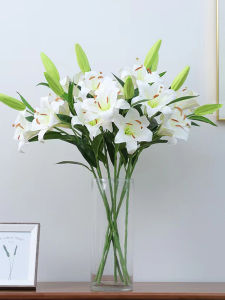 Cây Hoa Lô Hội PU Mềm Mại Hoa Tươi Lâu Trang Trí Phòng Khách Phòng Ngủ Tiệc Cưới Phòng Ảnh Hoa Lô Hội Trắng