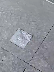 Floor Drain Bouncing Core Seal Cover 304 Stainless Steel Anti-odor Bouncing Floor Drain Cover
