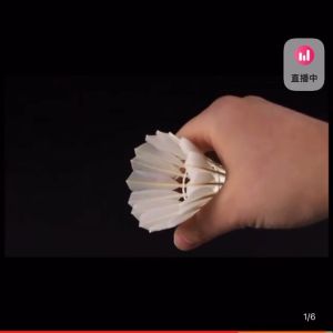 SH 12pcs Badminton Shuttlecocks Sports Fitness Aerodynamics Feather Shuttlecock Set