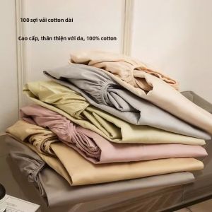 Drap Giường Bốn Mùa Cotton Sợi Dài