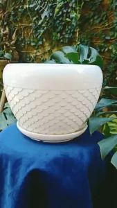 Bộ 3 bình gốm nhập khẩu cao cấp Đài Loan CÁ CHÉP BẠCH NGỌC màu sắc trắng sữa sang trọng nước men mịn đế dĩa chống tràn nước sản phẩm phong thủy tài lộc