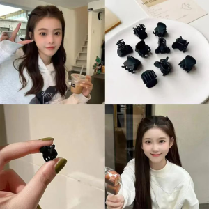 🔥Princess Style Small Hair Claw Clip Small Hair Clip Women Simple Black Hair Clip LovelylifeFu👍