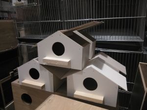 Kubo nestbox for Bird and mouse