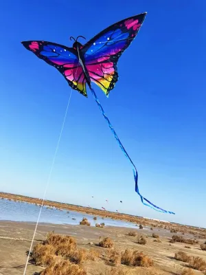 New colorful butterfly kites flying Outdoor toys sports animal kite professional kite wind kites sting line dragon kites factory