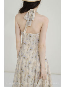 Watercolor Print Halter Neck Backless Chiffon Maxi Dress