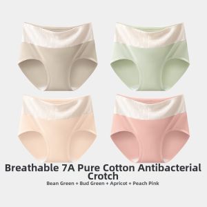 Cotton Antibacterial High-waist Panties