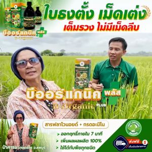 บีออแกนิค สารจับใบ ฮอร์โมนพืช สารบำรุงพืช
