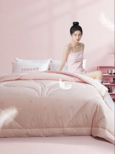 Antibacterial Dust Mite Proof Warmth Student Dormitory Single Use Quilt