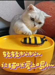 น้ำพุแมว ลายผึ้ง น้ำพูม น้ำพูม ที่ให้ น้ำแมวอัตโนมัติ สุขเสริมสร้างความงาม 12 บริษัท น้ำพูม