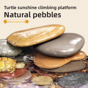 MONLEYTA | Natural Flat Basking Platform for Turtle Aquarium with Colorful Stones
