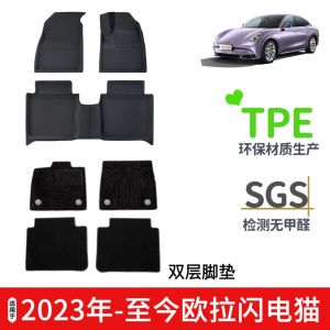 LongWall Car ORA 07Grand Cat Car Floor Mats 3DXPE+TPE Anti-Slip Wear-Resistant Parts Special Vehicle Custom Fit Rubber Mats