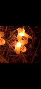 20 Led Solar Powered Cute Honey Bee Christmas Lights