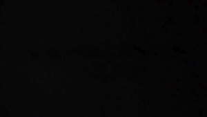 Mercusys MR30G AC1200 Dual-Band Wi-Fi Gigabit Router | Mercusys by EJD