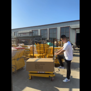 Manual hydraulic mobile lifting platform car small mold flat trolley lifting platform elevator