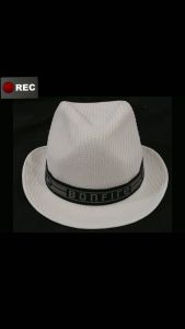 Topi Pork Pie Doodle: Desain Unik dan Variasi