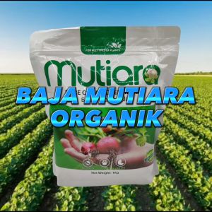 Baja Mutiara 1kg 100% Organik Powder Senang Larut Kaya Nutrition | Murah Jimat