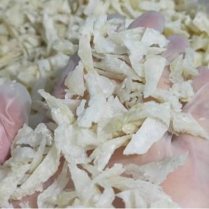 sarang burung walet atau YENWO asli BERSIH patahan sudut SUPER 5gram