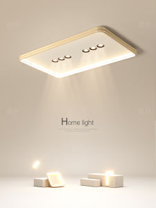 Minimalist Modern Secondary Ceiling Light