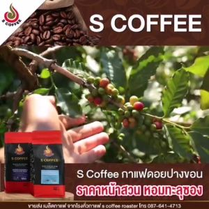 คั่วอ่อน เมล็ดกาแฟ S Coffee Arabica Pangkhon A+ Light Roast 500 กรัม