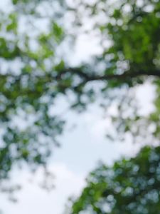 Beneunder | Dép Lót Bông Chống Trượt Chống Nước
