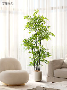 Roman Ladieswear Indoor Simulation Plant Common Nandina Living Room Decoration Potted Clothing Store Fake Green Plant Accessible Luxury Decoration