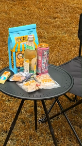 TEAM 5 Outdoor Folding Table Portable Camping Table Furniture Home Living Table With Storage Bag