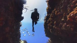 SCUBAPRO - Seawing Super Nova Fin รุ่นใหม!! - open heel fins - ตีนกบ - ฟินเรือธงตัวใหม่ล่าสุด