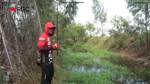 กบยาง คาวมือ BOYTEP บอยเทพ ความยาว 3.4 cm น้ำหนัก 6 กรัม แถมใบยาง 1 ใบ