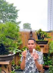 [ Mua 5 Tặng 1 ]  Siêu kích rễ HB-101 Nội Địa Nhật Bản Phục Hồi Cây Suy