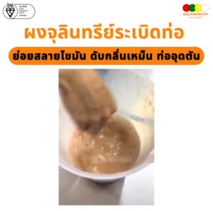 Kinghouse อีโค่ซิส-ดี ผงจุลินทรีย์ระเบิดท่อ ย่อยคราบไขมัน ผงระเบิดท่อ แก้ท่อตัน ผงกินไขมันถังดัก 250กรัม MM-022