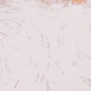 BOSSLU Alat Pel Lantai 360 Derajat Sapu Pembersih Lantai Dengan Model Tarik Peras Handle Serbaguna